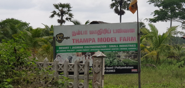 thampa model farm