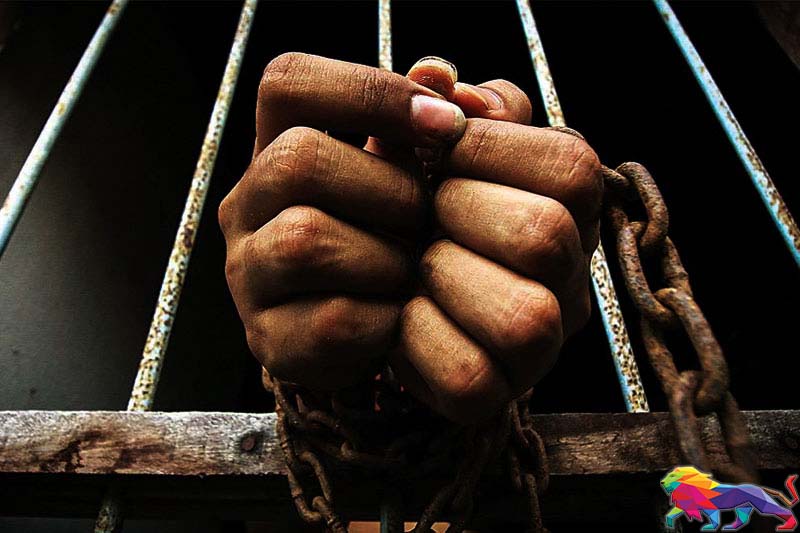 12 Tamil political prisoners on hunger strike at Magazine prison